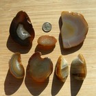 Agate Quartz Geode Slices Polished Natural Rock Ends Mixed Brown Crystals 1 5lbs