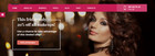 Wordpress Website - Custom Website Design - Professional   Mobile Friendly