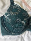 Nwt Body By Victoria   s Secret Lightly Lined Demi Bra 32dd Underwire Lace Green