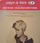 Robyn Is Here  1997  Promotional Counter Display standee  Rare  Never Used