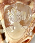 Hand Carved Conch Cameo Seashell Shell Woman Portrait 4 25 