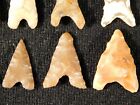 Big Lot Of Ten  Little Ancient Bottom Notch Tidikelt Arrowheads 6 44