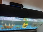150 Gallon Fish Tank