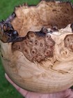Live Edge Maple Burl Bowl  Great Figure        dovecote Woodworking  895