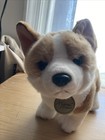 Aurora World Miyoni Corgi Puppy Plush 11  Beautiful And Soft Stuffed Animal Toy
