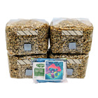 4 - 1lb Grain Spawn Bags Rye Berries  W  Injection Ports Mushroom Growing How To