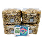 4-pack 1lb Rye Grain Spawn     Sterile W  Injection Ports  Mushroom Easy Grow Bags