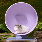 Quiet Hamster Wheel 10 2 Inch Dual-bearings Silent Small Animals Running Exercis