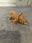 Safari Limited Dinosaur Figure Model Vagaceratops 2012 Toy