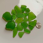 Genuine Surf Tumbled Sea Glass  19 Med Lime Green Pieces  Jq  Frosted  Nyc Beach