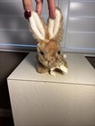 Vintage Eden Bunny Rabbit Wind Up Musical Stuffed Animal Plush Works Haiti
