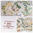Spode Woodland Harvest Plates 9  Salad X4 Diff Fruit Botanical Plate Set A  Vgc 