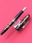 Pilot Emperor Enthronement Maki-e Fountain Pen  hou-ou  18k M Nib Limited 800
