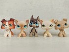 5pcs lot Littlest Pet Shop Figure Lps Cat Dog  1542 816 817 733 1194 Kid Toy