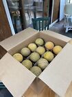 3 Dozen  36  Used Yellow Dimpled Softballs 12    For Pitching Machine Or Practice
