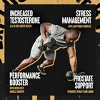Animal Tnt  Mens Prostate Adaptogen Stress Support Nitric Oxide Supplement