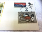U s  1981 Federal Duck Stamp Rw48 First Day Cover New York Cancel Silk Cachet