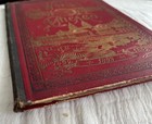 Antique Worlds Columbian Exhibition At Chicago 1893 Photographic Album 12 Plates