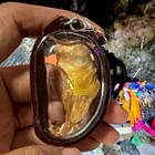 Thai Magic Cat Placenta Amulet Wealth Money Fortune Lucky Talisman Pendant Holy