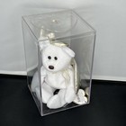 Lot 5 Ty Beanie Babies Bear Lot W  Clear Display Cases  Vintage 