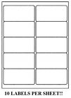 1000 Premium 2  X 4  Self Adhesive Address Labels 10 Per Sheet   10 Up 