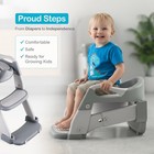 3-in-1 Toddler Potty Training Toilet Seat With Ladder   Foldable Toilet Potty   