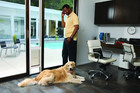 Petsafe 1-piece Sliding Glass Patio Door With Dog Cat Door Adjustable All Sizes