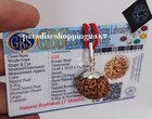 7 Mukhi Rudraksha seven Face Rudraksh Nepal Bead Size 18-20 Mm Pendant-certified