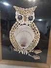 Framed Owl Seashell Art Wall Hanging 8  X 10  In Original Shrinkwrap