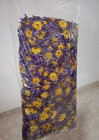 20g - 120g Dried Blue Lotus Nymphaea Caerulea 100  Organic Natural Puro Flowers