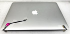 Apple Lcd Led Screen Assembly For 15  Macbook Pro Retina A1398 Mid 2015 Silver