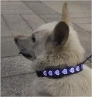 3d Led Light Up Dog Collar 15 Modes Usb-c Rechargeable Adjustable Nylon Pet