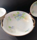 Nippon Hand Painted Berry Set Floral Pattern 7 Pc  Floral Pattern 1891-1921 Vtg