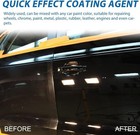 Car Coating Spray quick Effect Agent quickly Coat 1 Fl Oz  pack Of 1  