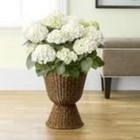 14  Brown Woven Urn-style Planter W  Scalloped Rim Decorative Wicker Basket