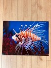 Custom Poster Printing  Different Sizes Custom Design  Upload Your Picture 