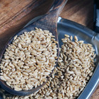 Organic Hard White Wheat Berries - 24lbs