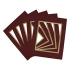 11x14 Double Mats For 8x10 - For Photos  Pictures  Frames - Acid-free  5 Pack