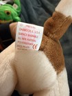 Vintage Ty Tracker Dog Beanie Baby Babies Rare Tag Errors-  Mint Condition 