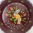Dutch Hand-painted Pie Tin Floral bird Toleware Signed Folk Art Lancaster Pa 9 5