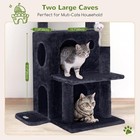 50  Cat Tree Tower For Indoor Cats W  Double Condo Top Perch Scratching Posts
