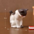 Small Polyresin Miniature Garden Figurines Fairy Garden Accessories fairy Gar   