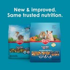 Kaytee Forti-diet Pro Health Hamster   Gerbil Food - Nourish protect