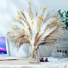 Us Stock Natural Dried Pampas Grass Decor 17 5 In 100 Pcs Fluffy Bouquet