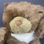 Vintage Lemonwood Asia Brown Teddy Bear Plush White Neck Hairy Stuffed Animal