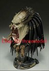 Sideshow 2002502 1 2 Wolf Predator Legendary Bust Statue In Stock