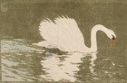 Carl Theodor Thiemann - Swan 1907 Art Nouveau Woodcut Art Print - Ready To Frame