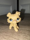 Littlest Pet Shop Lps Collie Dog Lot  - Read Description 