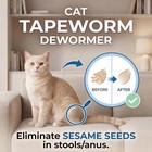 Tapeworm Treatment For Cats   Kittens  Praziquantel Liquid Dewormer  100 Ml