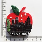 12 Pcs New York United States Tourism Travel Souvenir 3d Resin Fridge Magnet K1